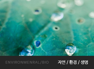 EVIRONMENRAL/BIO 자연/환경/생명