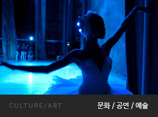 CULTURE/ART 문화/공연/예술